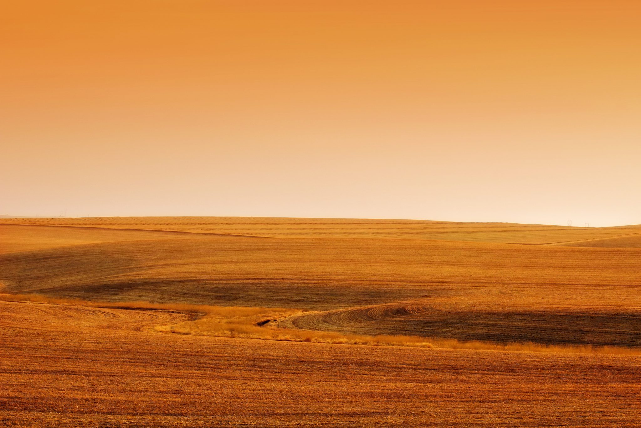 Desert background zyeo33vo