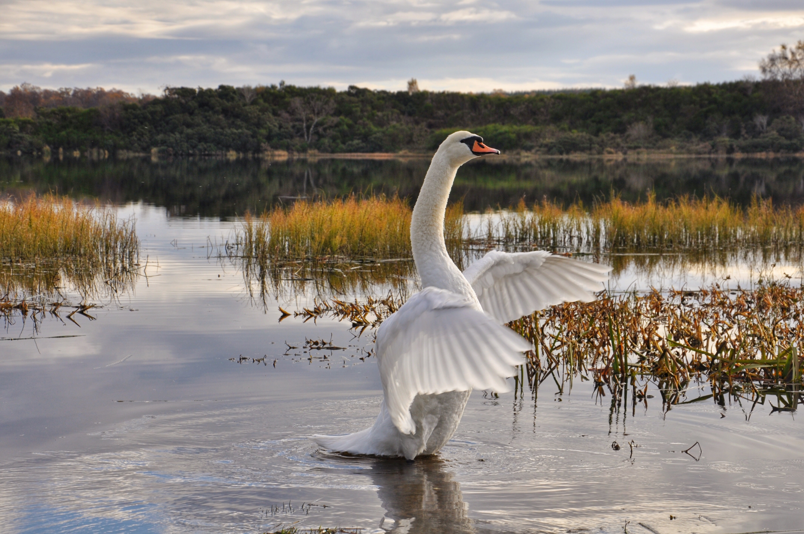 Vantro og samtidig vandre i tro