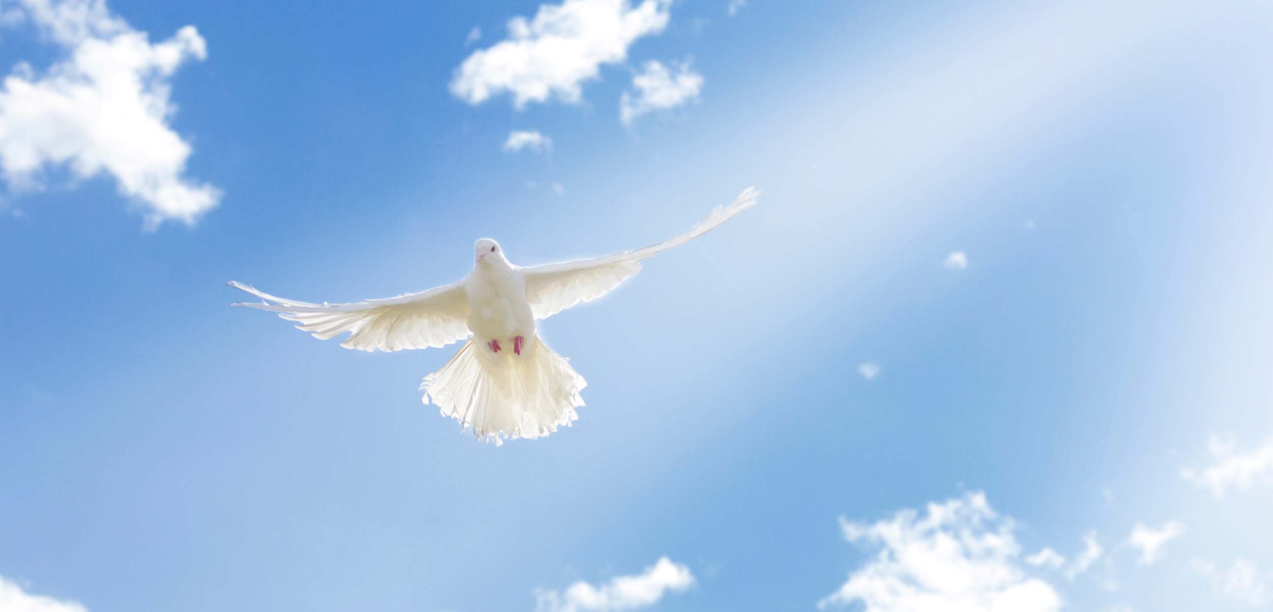 Helligandens dab vs helligandens ledelse