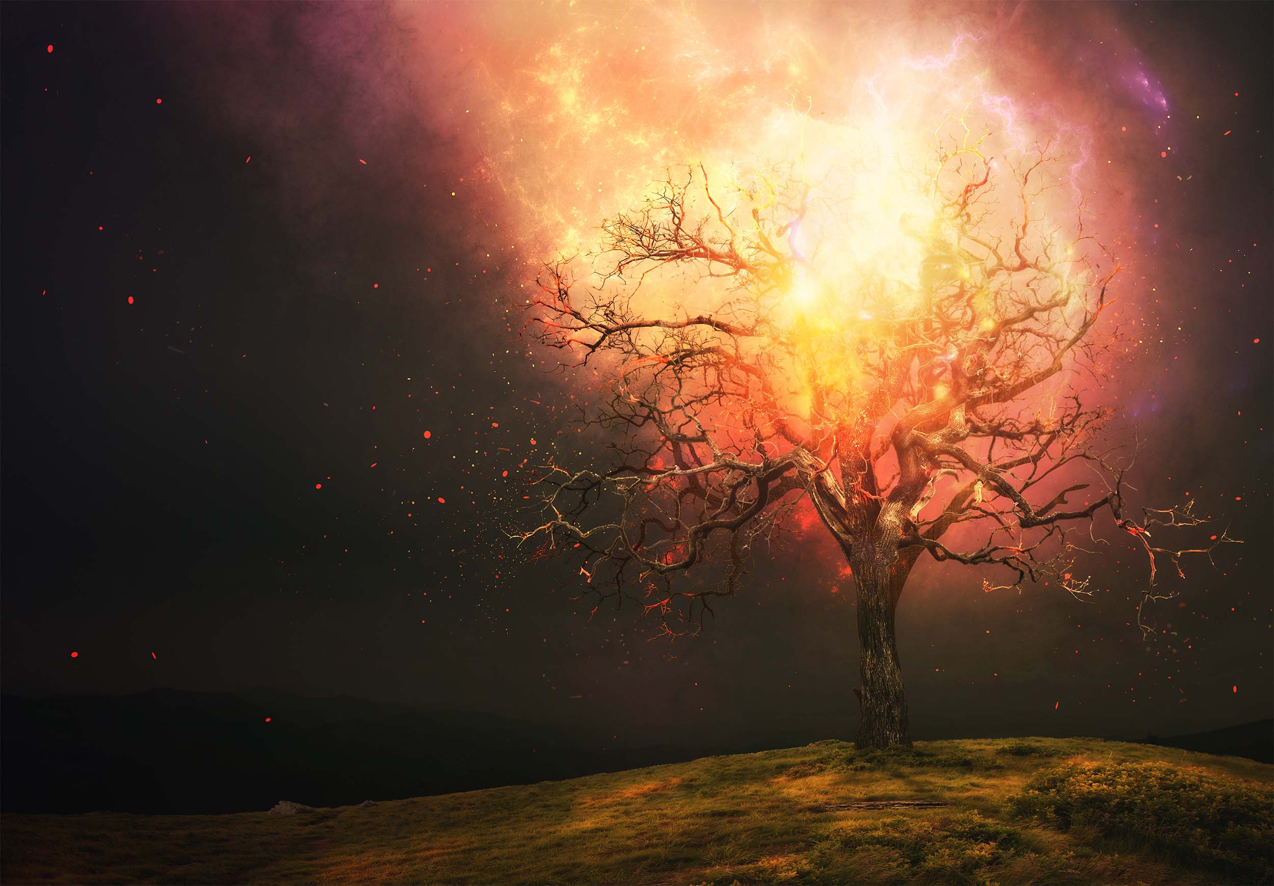 Den braendende tornebusk