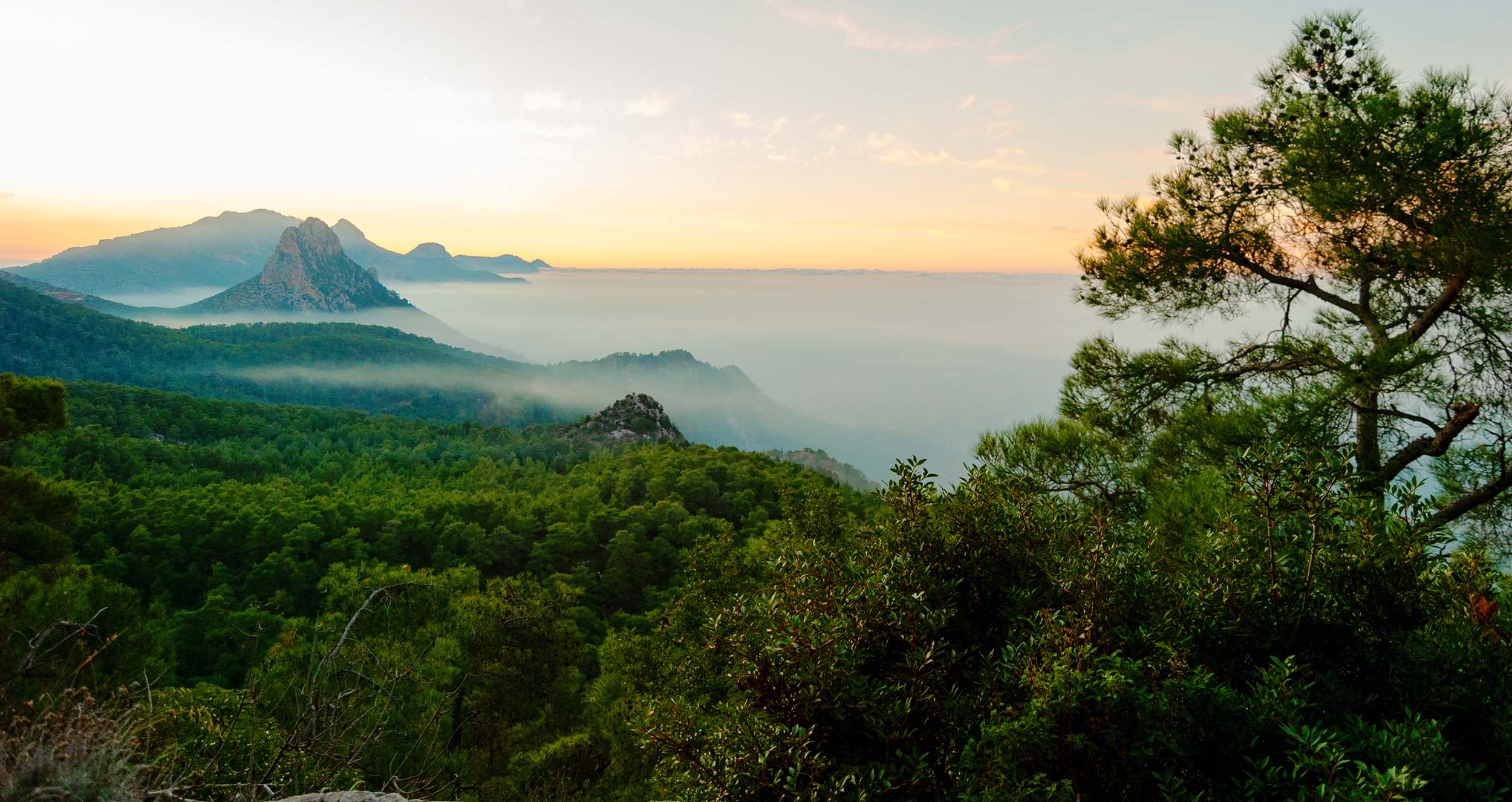 Lev i ånden taenk med ånden