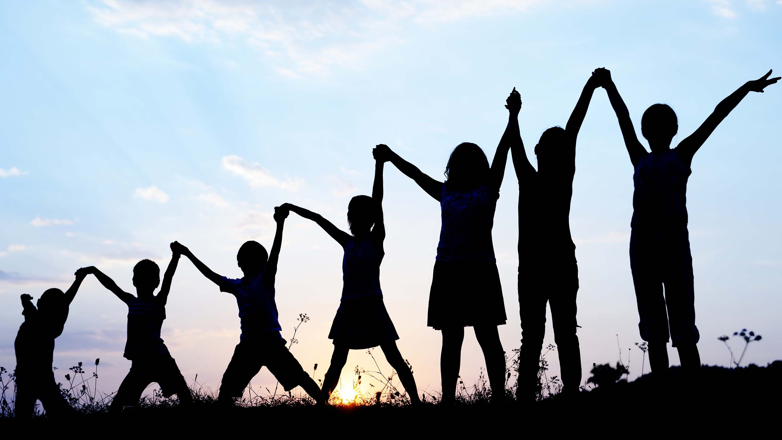 Faellesskab eller enegang