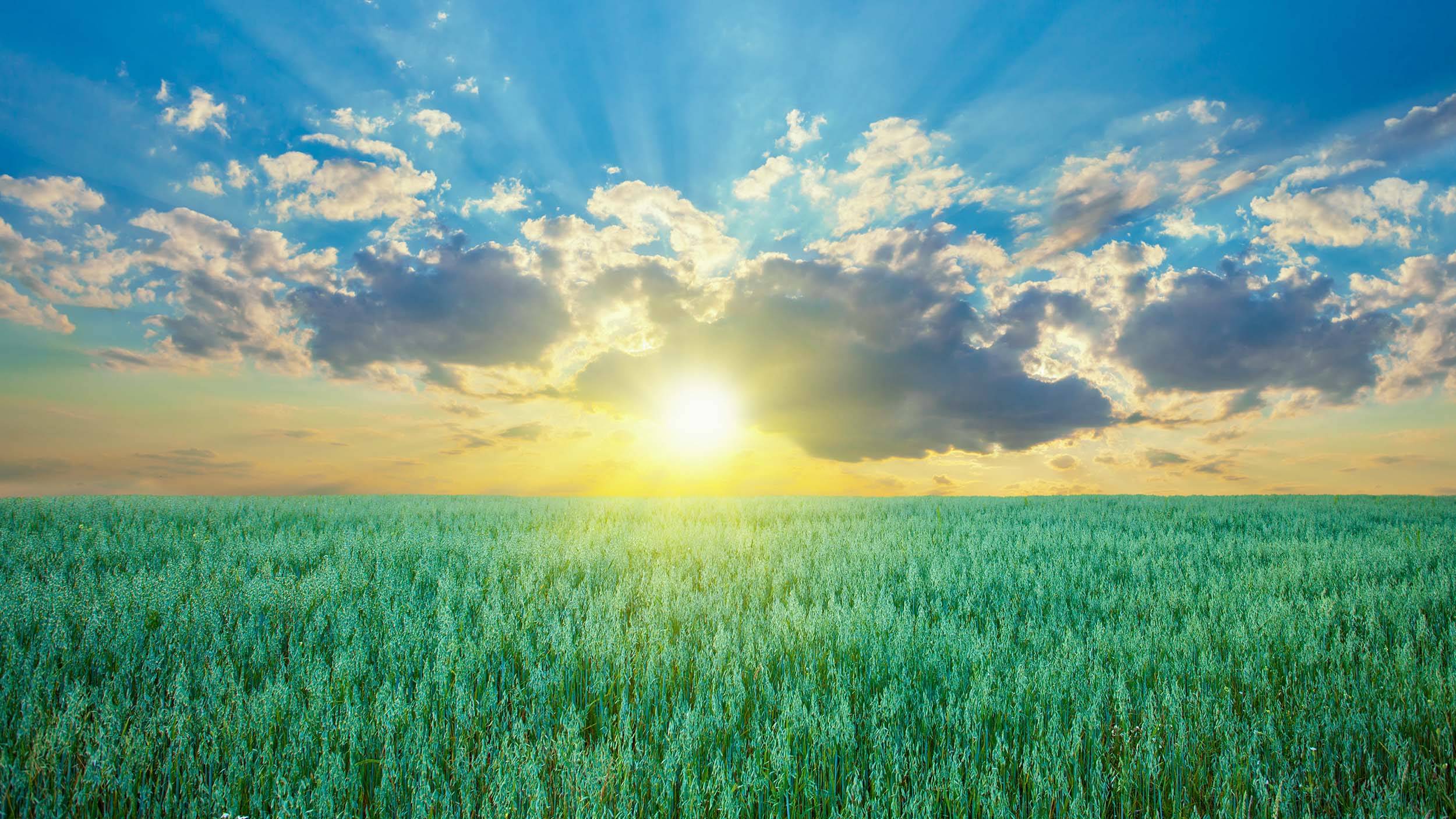 Hvordan skal vi ligne gud