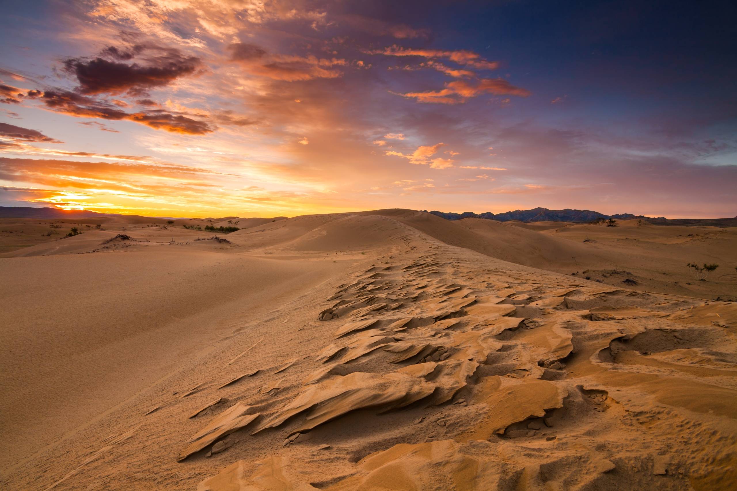 Tjener du Jesus med dit liv?