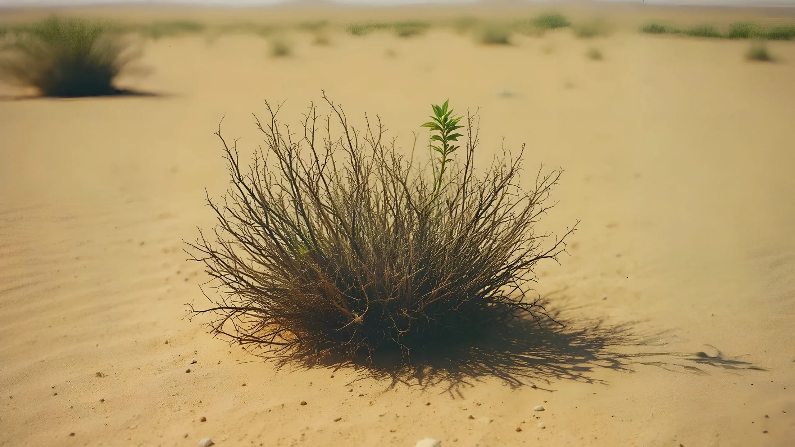 Når Helligånden forvandler